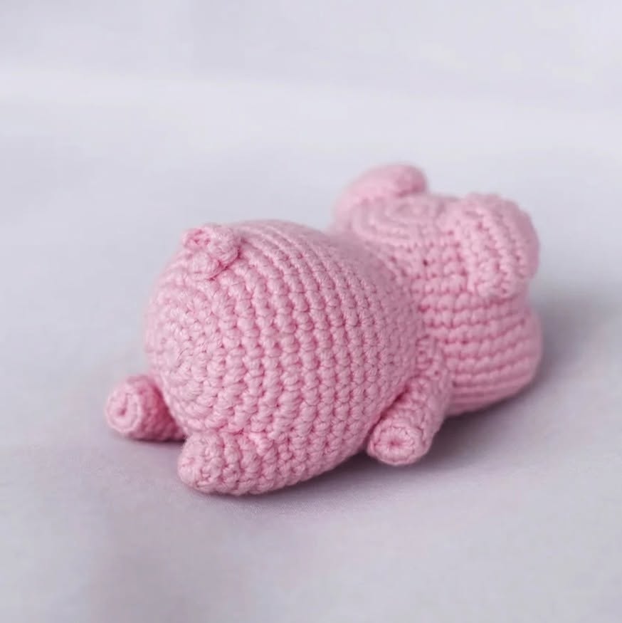 Baby Pig Pattern PDF 🐷💖
